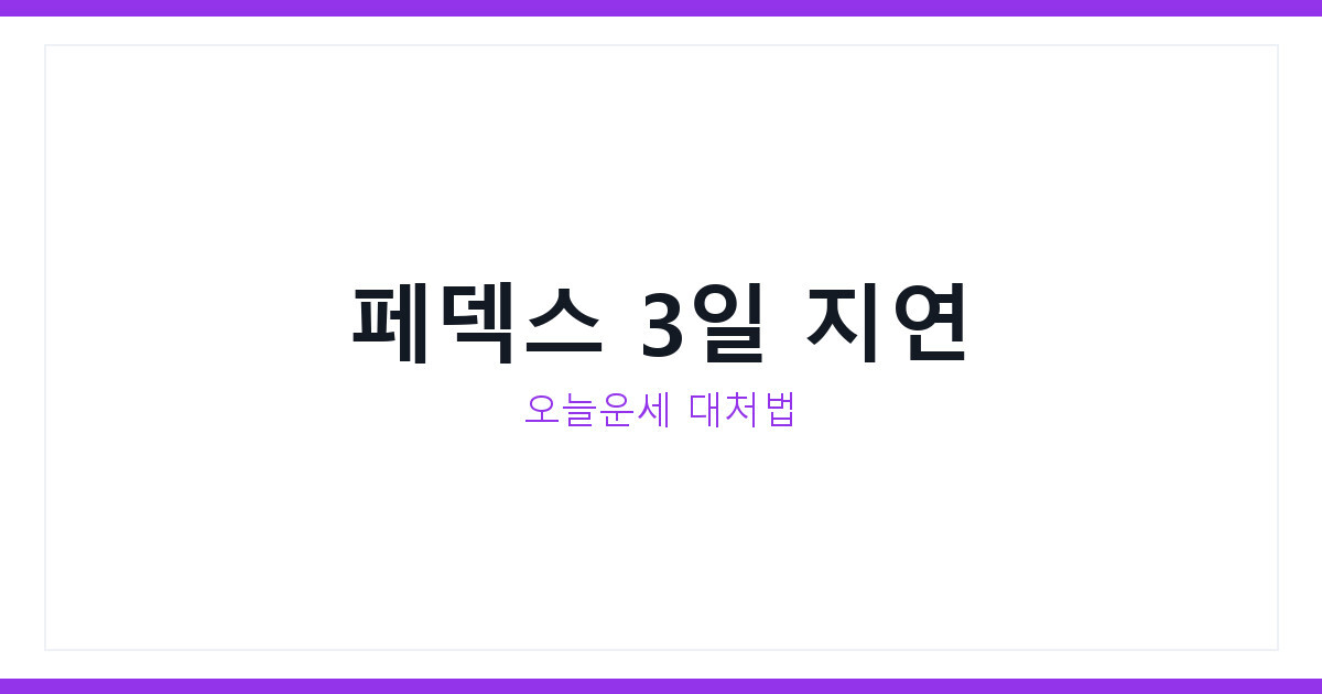 오늘운세와 손없는날로 챙기는 2026년 페덱스 국제배송지연 대처법