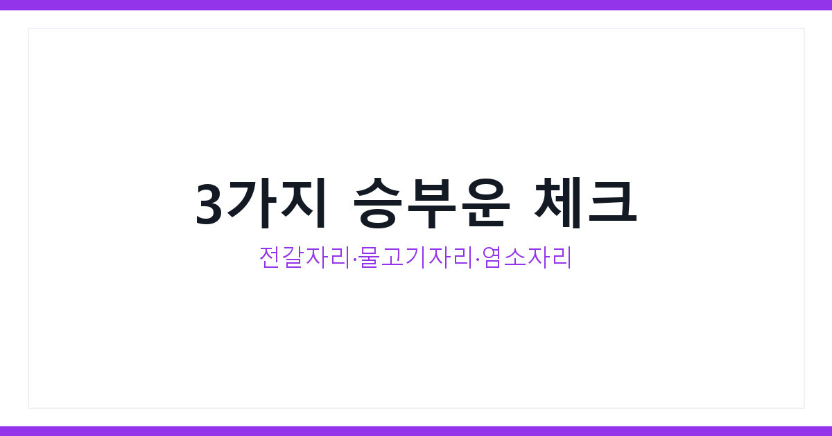 LAFC 손흥민 화제 속 오늘의 운세로 보는 별자리 승부운 총정리