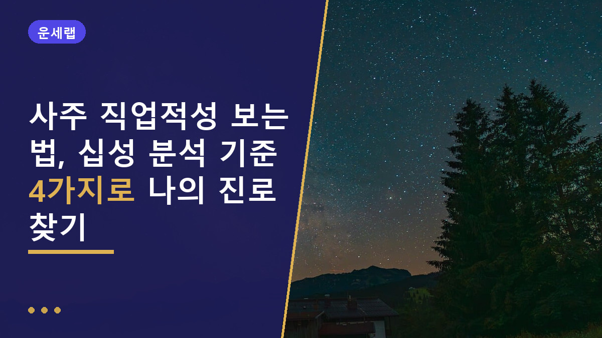 사주 직업적성