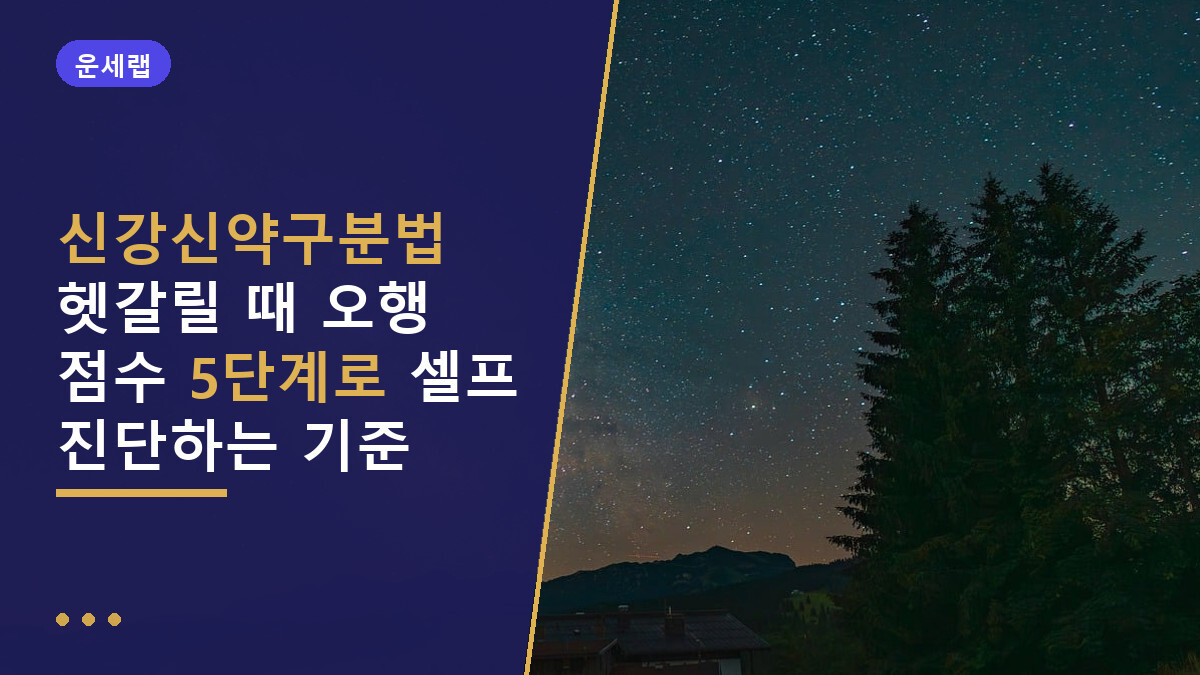 신강신약구분법