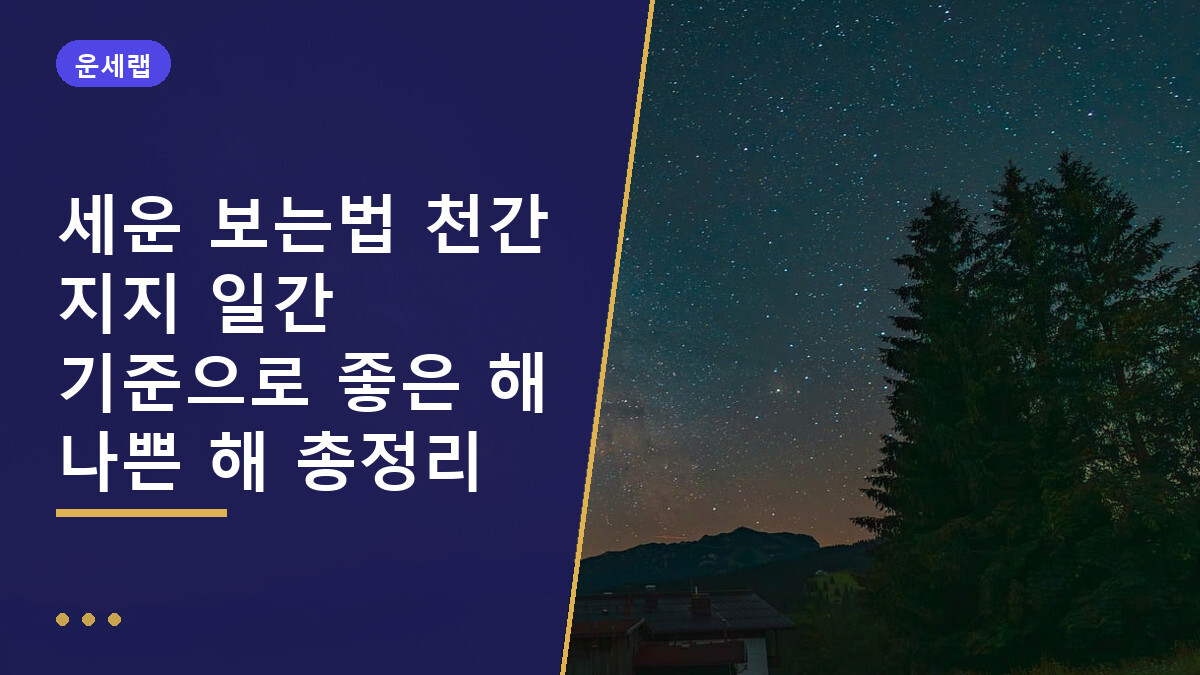 세운 보는법 천간 지지 일간 기준으로 좋은 해 나쁜 해 총정리