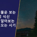 사주 재물운