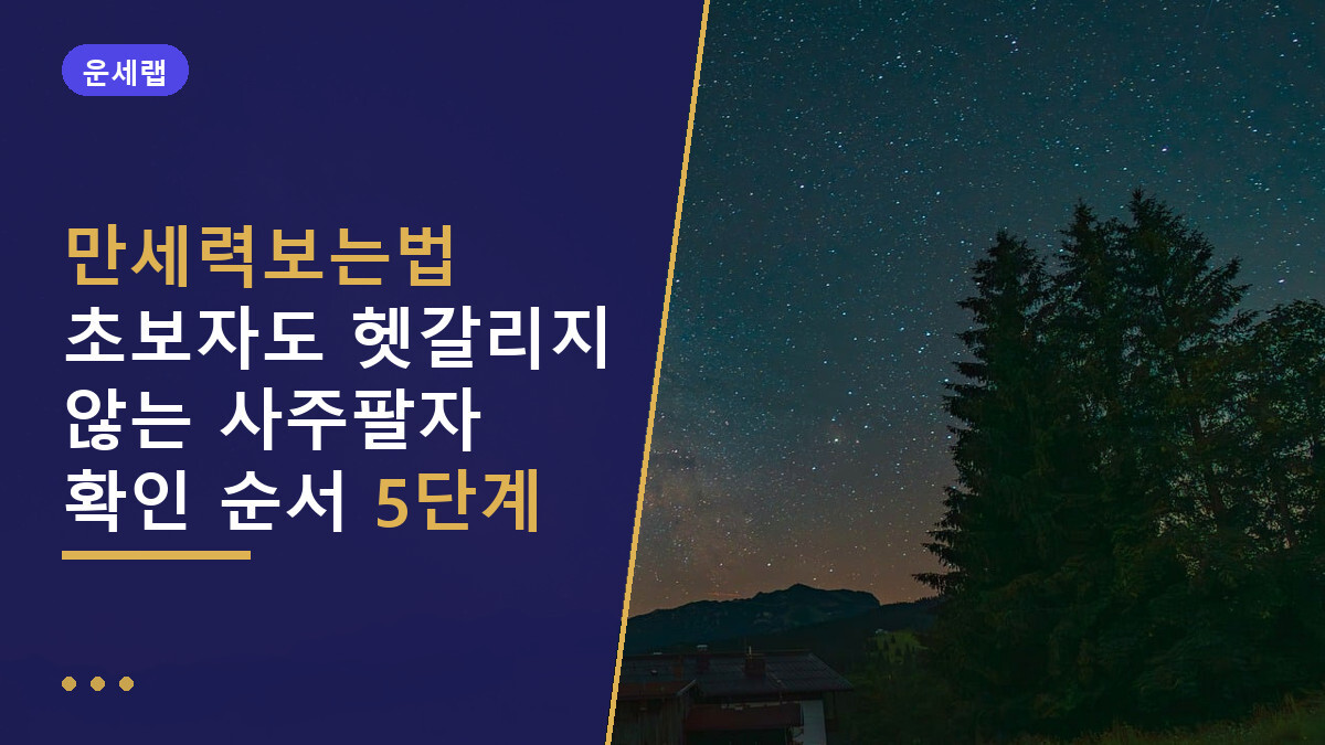 만세력보는법 초보자도 헷갈리지 않는 사주팔자 확인 순서 5단계