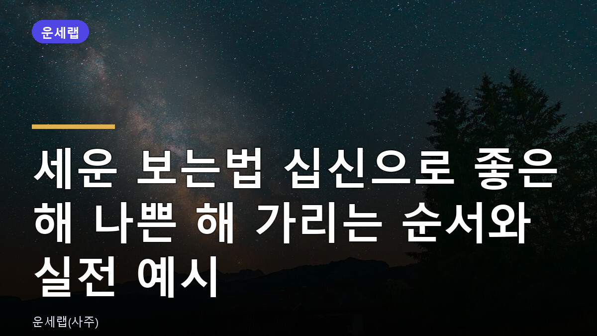 세운 보는법 십신으로 좋은 해 나쁜 해 가리는 순서와 실전 예시