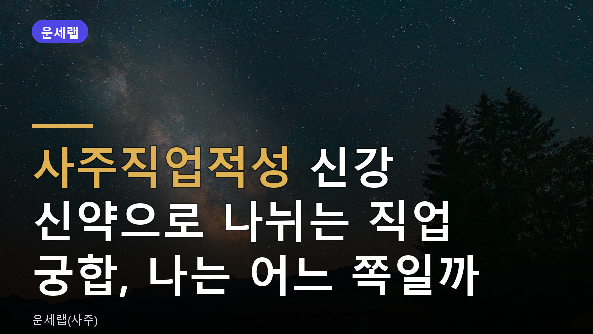 사주직업적성 신강 신약으로 나뉘는 직업 궁합, 나는 어느 쪽일까
