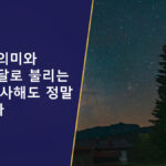윤달의 의미
