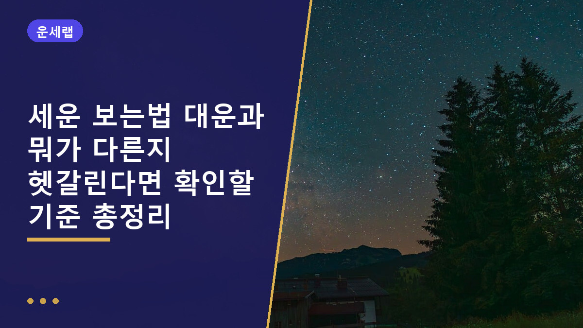 세운 보는법