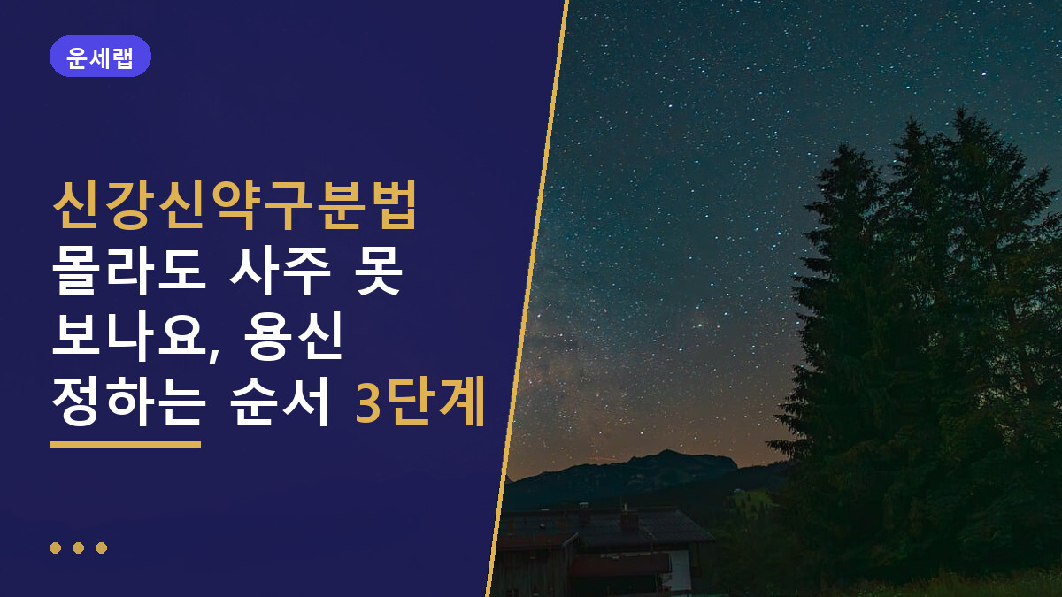 신강신약구분법