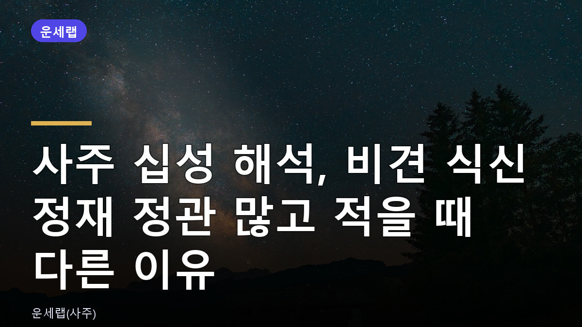 사주 십성 해석