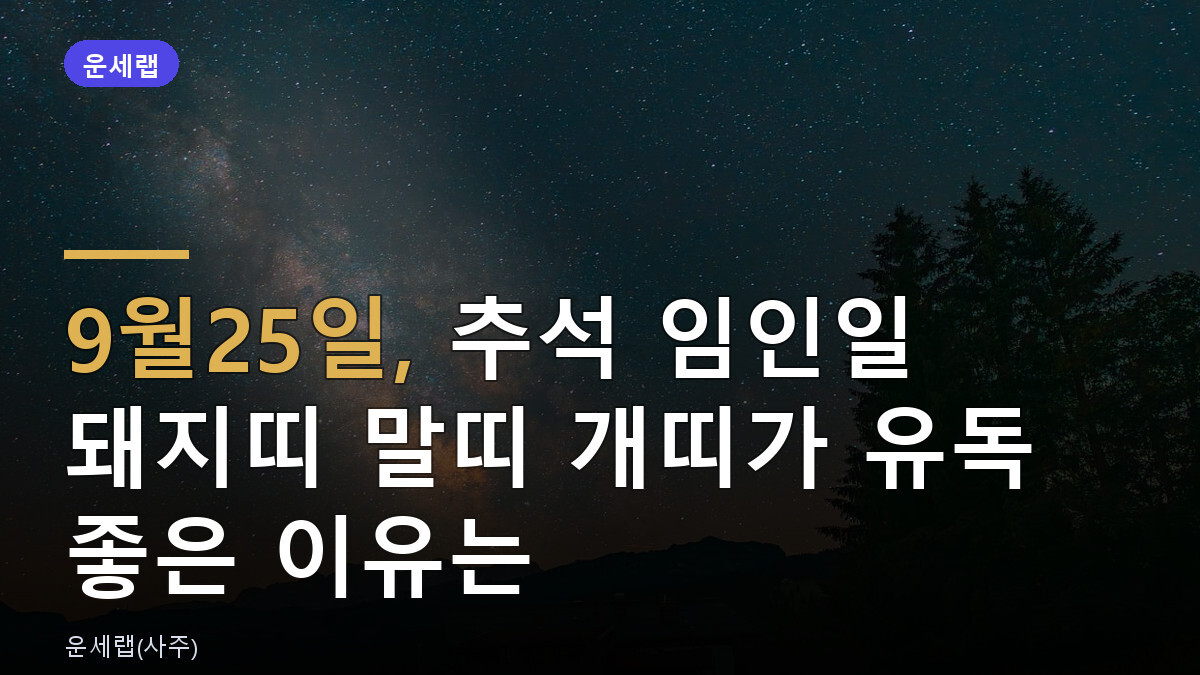 내일 운세 9월 25일