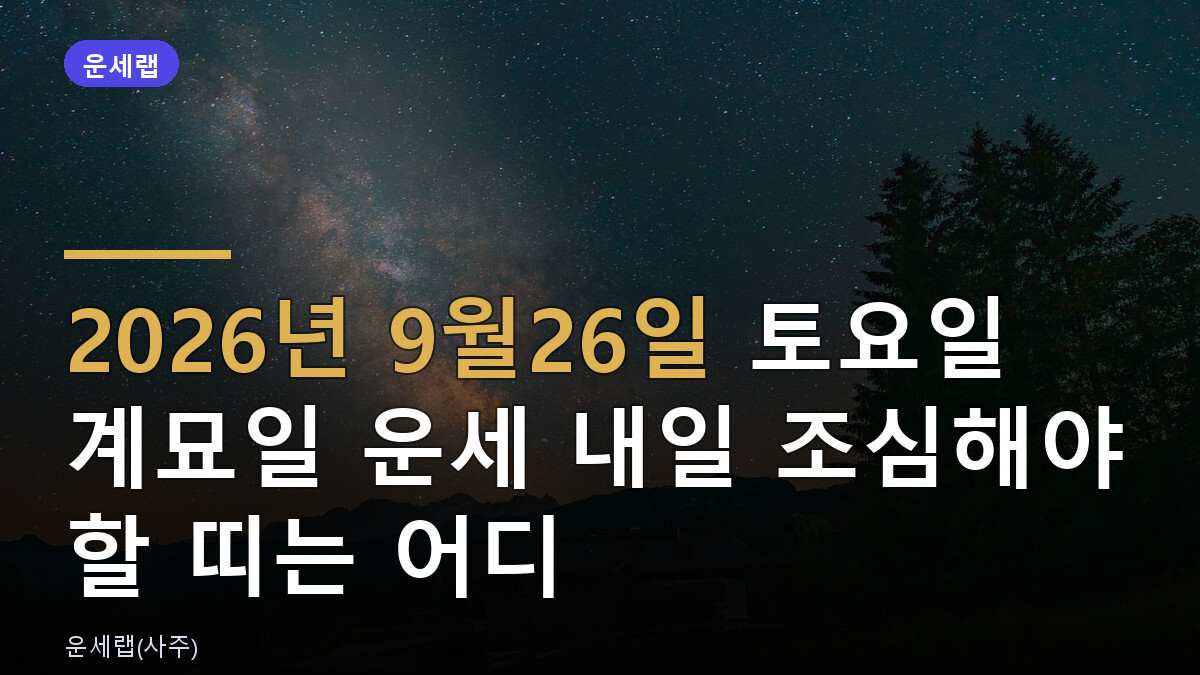 내일 운세