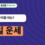 내일 운세