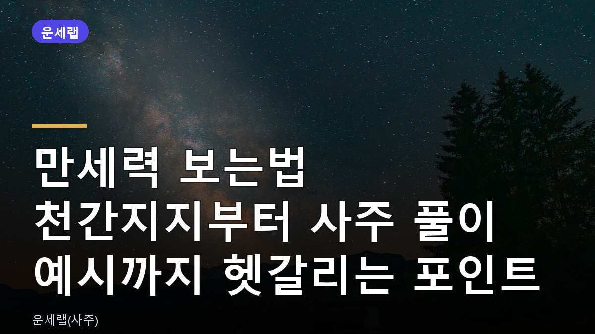 만세력 보는법 천간지지부터 사주 풀이 예시까지 헷갈리는 포인트
